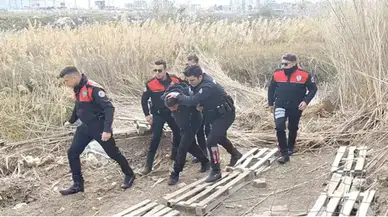 Aranan hükümlü sazlıkta yakalandı