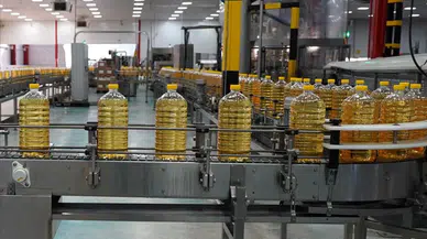 Ayçiçek yağı ihracatı 1 milyar dolara yaklaştı