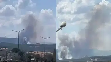 Çanakkale’de orman yangını