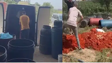 6 ton domates posası imha edildi