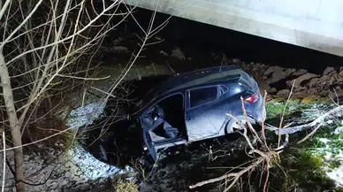 Otomobil dereye düştü: 1 yaralı