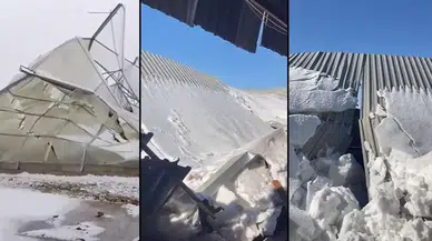 Ahır çöktü: 10 koyun öldü