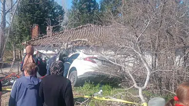 Otomobil ağaçlara çarptı: 2 ölü, 1 yaralı