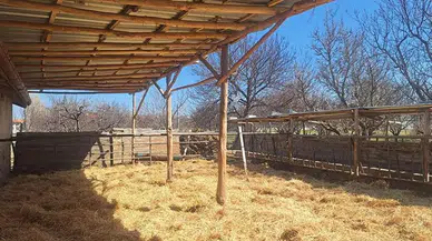 Konya’da tepki çeken görüntüler sonrası besi çiftliğinde inceleme