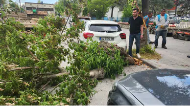 Konya’da devrilen ağaç otomobilin üzerine düştü