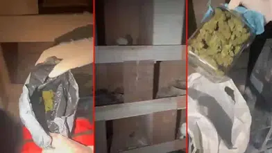 Kuş kümesine uyuşturucu operasyonu