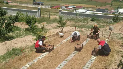 Konya'da altın değerinde hasat yapıldı: Üretim yüz güldürdü!
