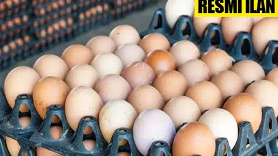 Üçüncü Ana Jet Üs Komutanlığından Yumurta Alımı