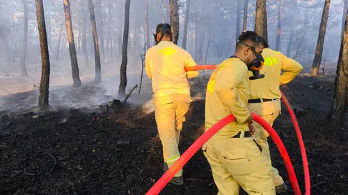 Bolu'da 8,5 saatlik mücadeleyle orman yangını söndürüldü