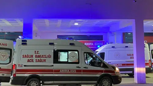 Devrilen hafif ticari araçtaki çift öldü