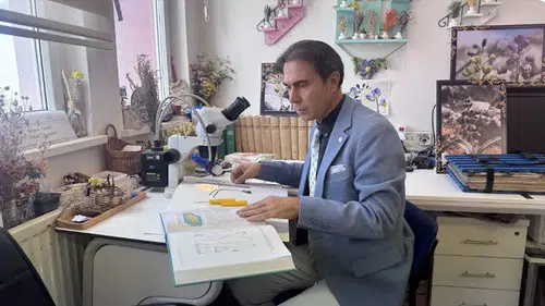Toroslar'da keşfedilen Konya Sümbülü bilim dünyasına kazandırıldı