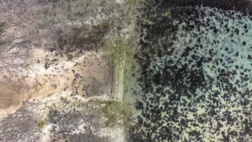 Konya'da baraj doluluk oranı kritik seviyede