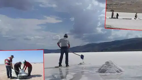 Tuz Gölü'nde geleneksel hasat başladı