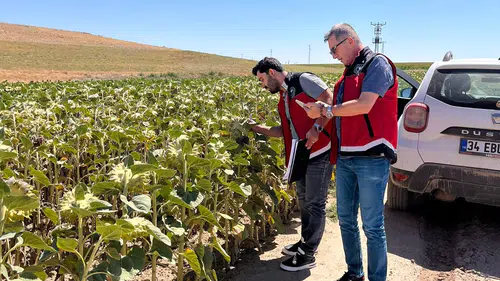 Konya'da tarımsal üretim planlaması başladı