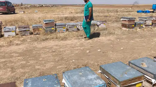 Konya'da arı kovanı olana destek var! Kontroller başladı!