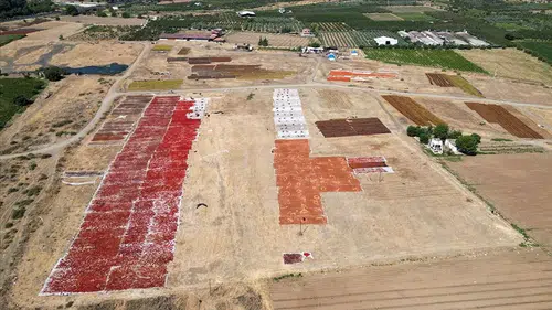 Gediz Ovasında kurutma şenliği