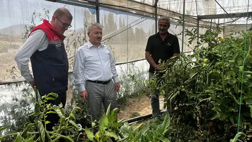 Konya'da üreticinin tecrübesi bilgi ile harmanlanıyor