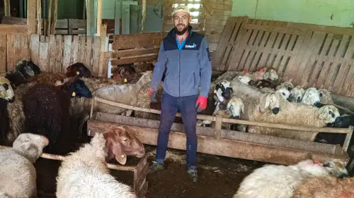 Konya'da engelli vatandaştan örnek girişimcilik: 20 koyunla gelen başarı öyküsü!