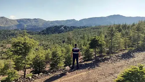 Muğla'da ormanlara giriş yasağı