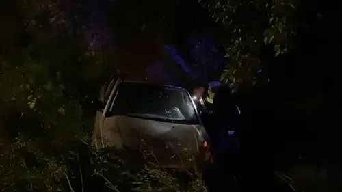 Otomobil zeytinliğe uçtu