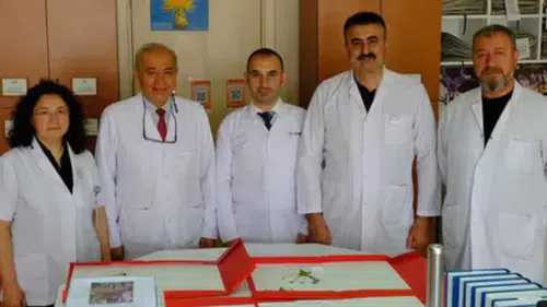 Türkiye'nin bitki hazinesine 4 yeni tür eklendi!
