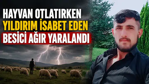 Hayvan otlatırken yıldırım isabet eden besici ağır yaralandı