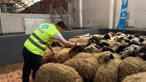 Kurban bağışları yerine ulaştı! Ülkü Ocakları bayramda yüzleri güldürdü