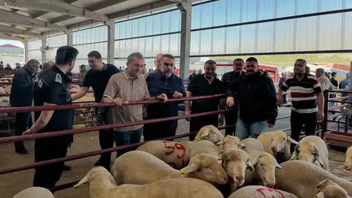 Karapınar’da kurban hareketliliği: Pazar yerinde bayram hazırlığı