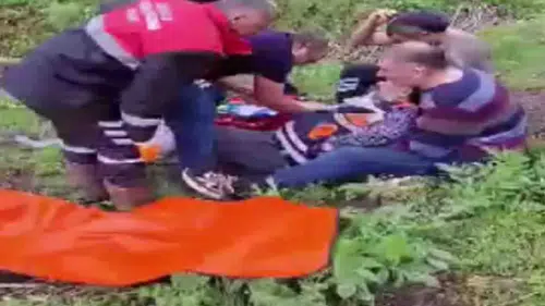 Mantar toplarken ayı saldırısında yaralandı