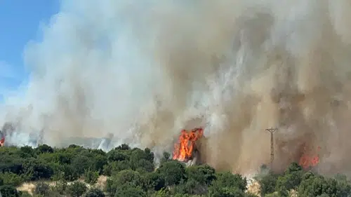 Çanakkale'de ormanda yangın