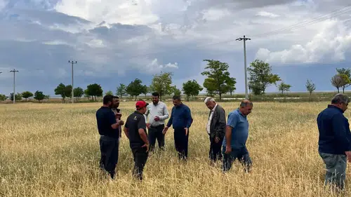 Cihanbeyli’de dolu felaketi: Ekipler sahada zarar tespitine başladı