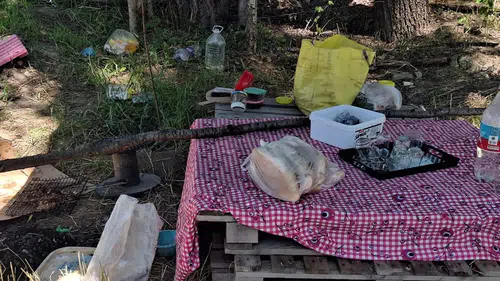 Piknikte tartıştığı eşini bıçaklayarak öldürdü
