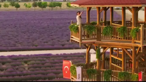 Konya mora bürünecek: Muhteşem etkinlik başlıyor!