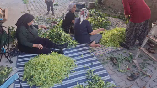 Komşuluk ruhu ıhlamur dallarında yeşerdi