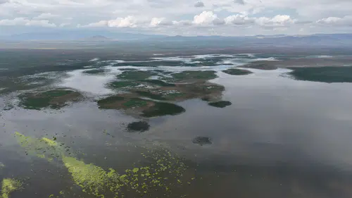 Akşehir Gölü'nde su 1,5 metre derinliğe ulaştı