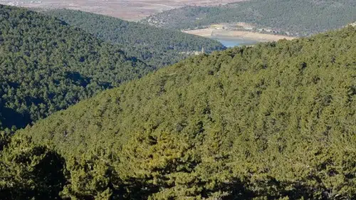 Konya'da o bölgelere giriş yasaklandı!