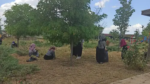 Cihanbeyli’de yeşil seferberlik: Ekipler sahada durmaksızın çalışıyor!