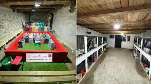 Horoz dövüşü operasyonu