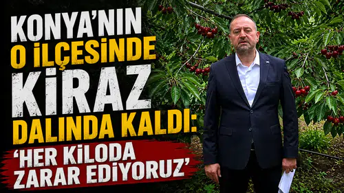 Konya’nın o ilçesinde kiraz dalında kaldı: 'Her kiloda zarar ediyoruz'
