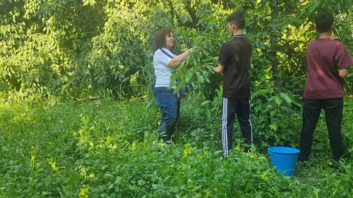 Kaymakam Yiğit’ten kiraz üreticilerine ziyaret