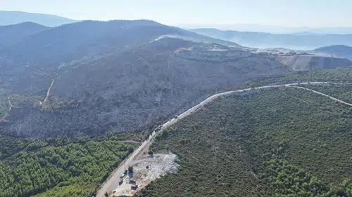 Manisa ve Muğla'daki orman yangınları kontrol altında