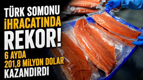Türk somonu ihracatında rekor! 6 ayda 201,8 milyon dolar kazandırdı