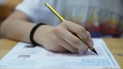 LGS merkezi sınav sonuçları açıklandı