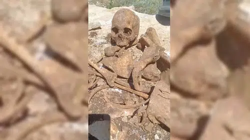 İnşaat kazısında insan kemikleri bulundu