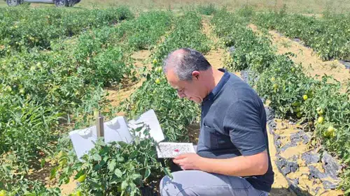Konya'da kalıntısız gıda için yoğun mesai
