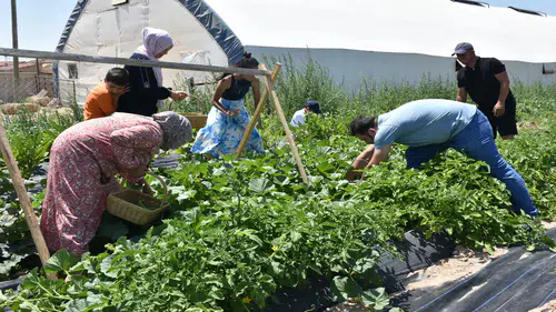 Konyalı ailenin "köy oteli"nde ödeme alın teriyle yapılıyor