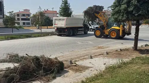 Cihanbeyli Belediyesi'nden yeşil dokuyu güçlendiren çalışma