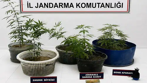 Uyuşturucu operasyonunda 3 gözaltı