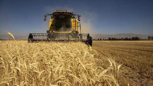 Türkiye tarımda rekora koşuyor! Bitkisel üretim 140 milyon tona ulaşacak