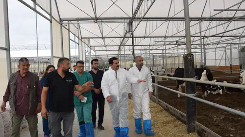 Konya'da hayvan sağlığı ekipleri sahada!